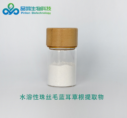 PINHONBIO®珠丝毛蓝耳草根提取物